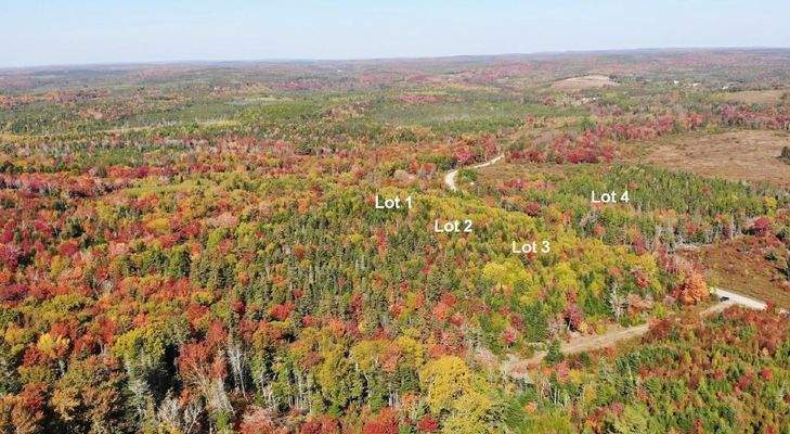 Nova Scotia - West Side Country Harbour - Preiswer