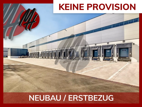 Bernau Halle, Bernau Hallenfläche