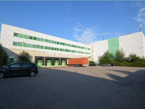 Saarwellingen Halle, Saarwellingen Hallenfläche