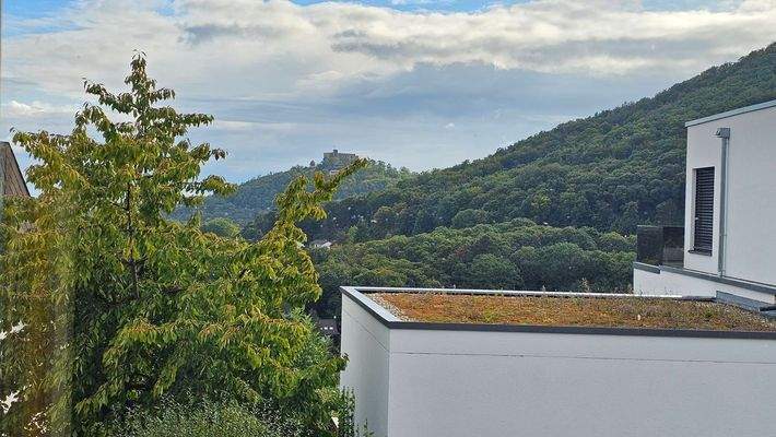 Blick auf Hambacher Schloß.jpg