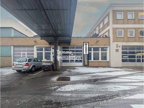 Nürnberg Halle, Nürnberg Hallenfläche