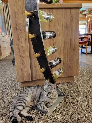 Katze und Wein
