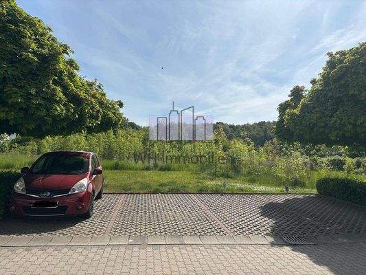 WhatsApp Image 2025-05-26 at 11.28.07