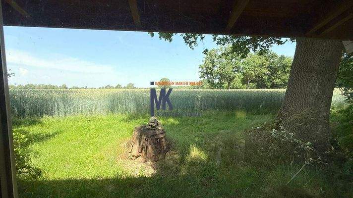 Fensterblick Saunahaus