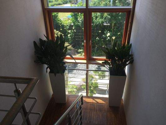 Trier-Kürenz-Petrisberg