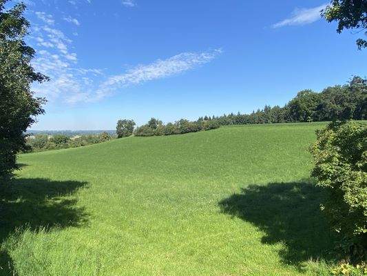 Vom Garten aus der Blick ins Grüne