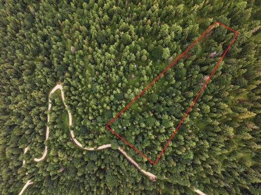 Blick von oben auf das Flurstück 