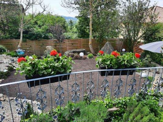 br früherer Schwimmteich.jpg