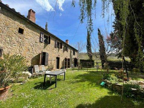 Montescudaio Häuser, Montescudaio Haus kaufen