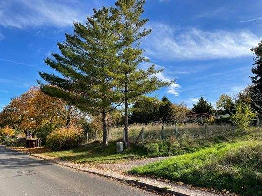 LH 152 - Vorschau Grundstück