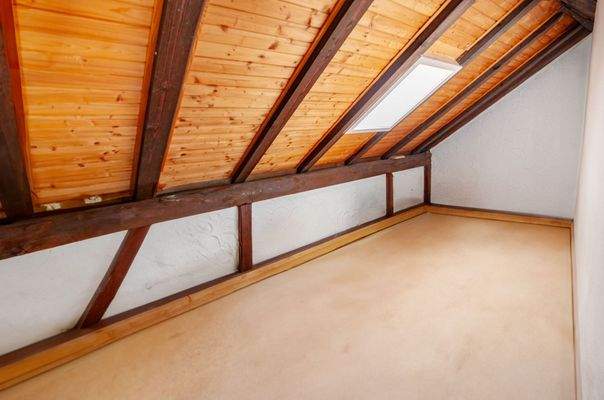 Dachdiele - Visualisierung