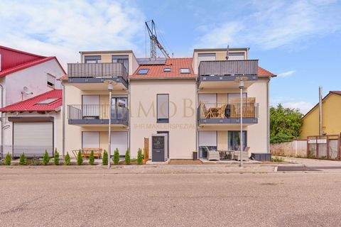 Billigheim-Ingenheim Wohnungen, Billigheim-Ingenheim Wohnung kaufen