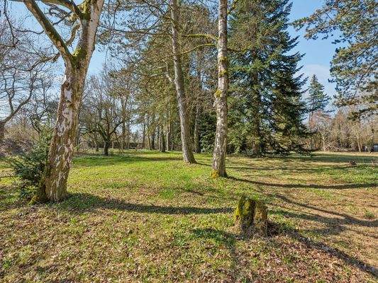 Grundstücksansicht II