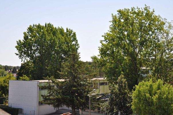 Blick Richtung Kita.JPG