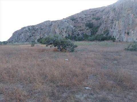 Santorini Bauernhöfe, Landwirtschaft, Santorini Forstwirtschaft