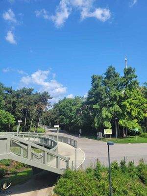 Unmittelbare Umgebung