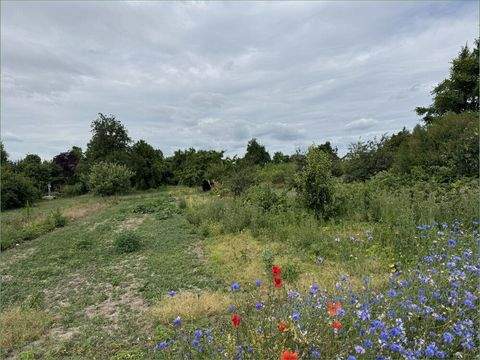 Hohe Börde OT Niederndodeleben Grundstücke, Hohe Börde OT Niederndodeleben Grundstück kaufen