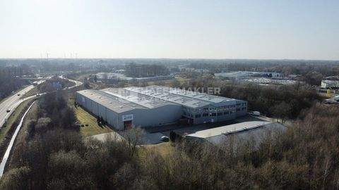 Delmenhorst Halle, Delmenhorst Hallenfläche