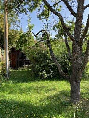 Baumbestand + Gartenhaus