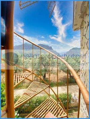 d832a4592def41659c41c880fa4a6dc0-original