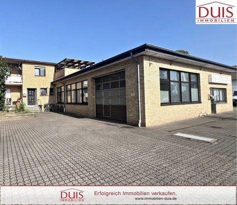 Datteln Halle, Datteln Hallenfläche