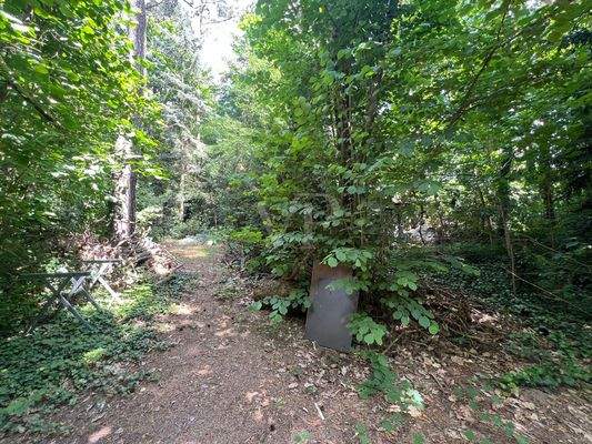 hinterer Grundstücksteil