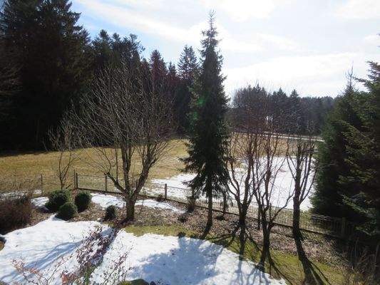 arrondierte Wiesenfläche 