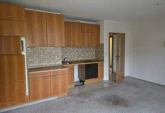 Küchenzeile im Wohnraum