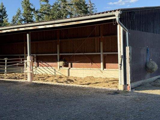 Liegefläche Offenstall