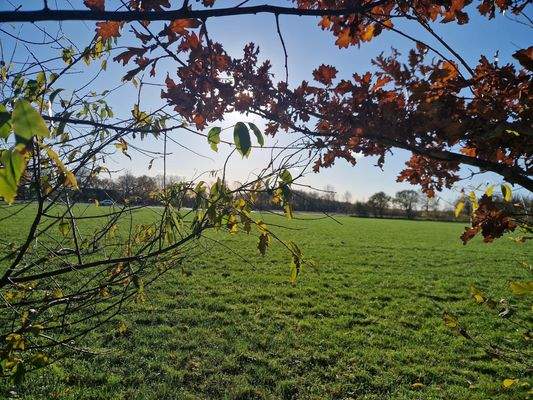 Blick aus dem Garten über die grünen, unverbauten Felder