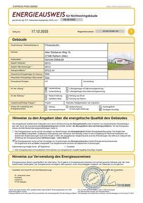 Energieausweis Seite 1 