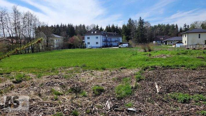 Blick auf das Grundstück