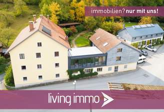 Luftbild (25, 25a, 25b)