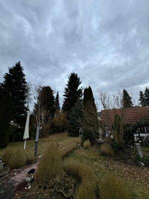 Garten - Fuchsweg.jpg