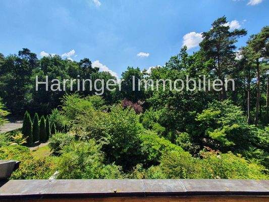 Herrlicher Blick von der Loggia