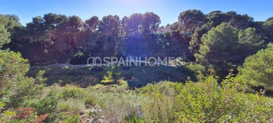Modern Detached Villa for Sale in Pinar de Campoverde