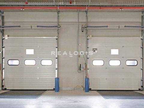 Berlin Halle, Berlin Hallenfläche