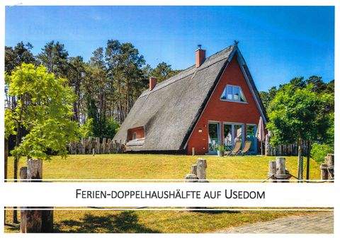 Loddin Häuser, Loddin Haus kaufen