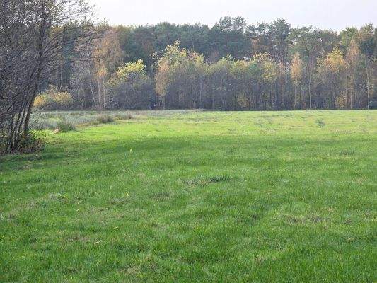 Terrassen- und Balkonblick