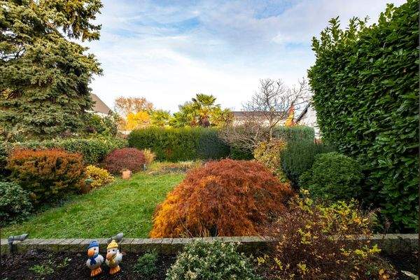 grüner Rückzugsort