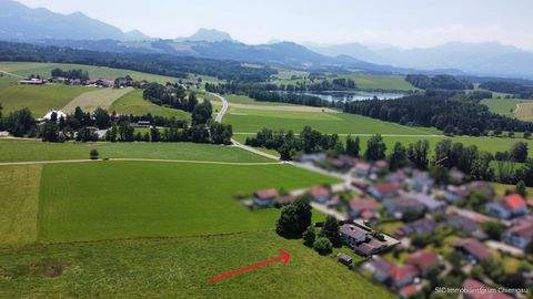 Riedering Häuser, Riedering Haus kaufen