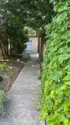 Eingang Grundstück