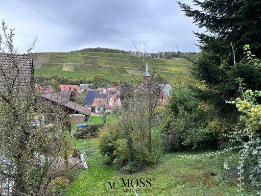 Blick auf die Martinskirche