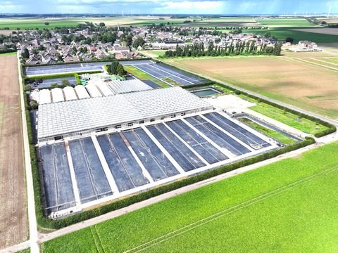 Bedburg Bauernhöfe, Landwirtschaft, Bedburg Forstwirtschaft