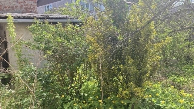 kleiner Garten