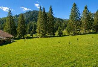 Ausblick auf Wiesen und Berge