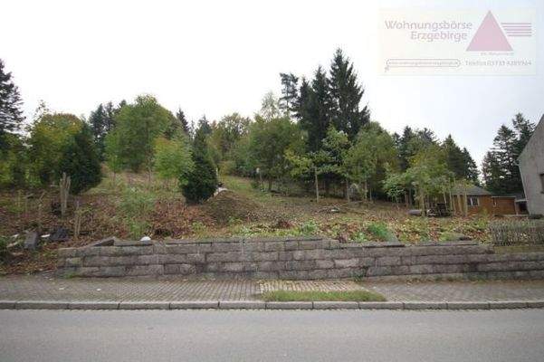 3769-Wohnungsboerse Erzgebirge