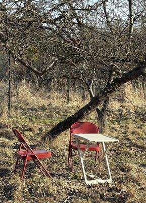 Das könnte ihr Platz sein