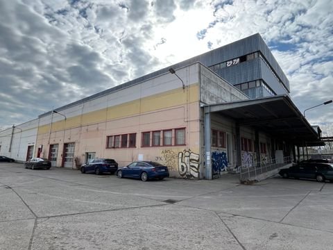 Leipzig Halle, Leipzig Hallenfläche
