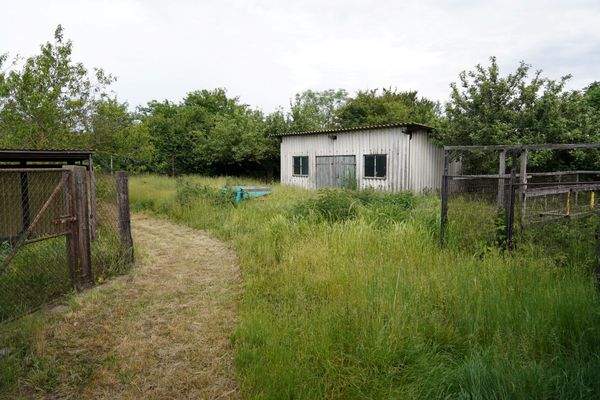 weitläufige Grünflächen